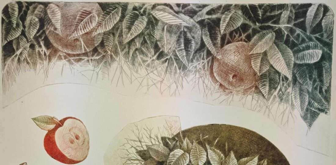 Gifts of nature - Image 3